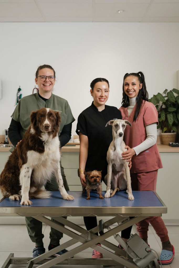 Équipe Vet’House avec chiens au cabinet